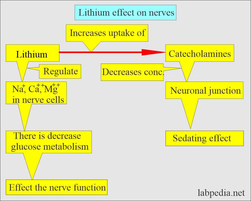 Lithium effect on the nerves
