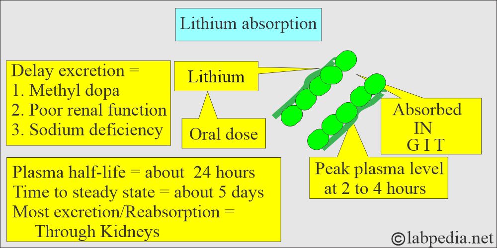 Lithium. Absorption