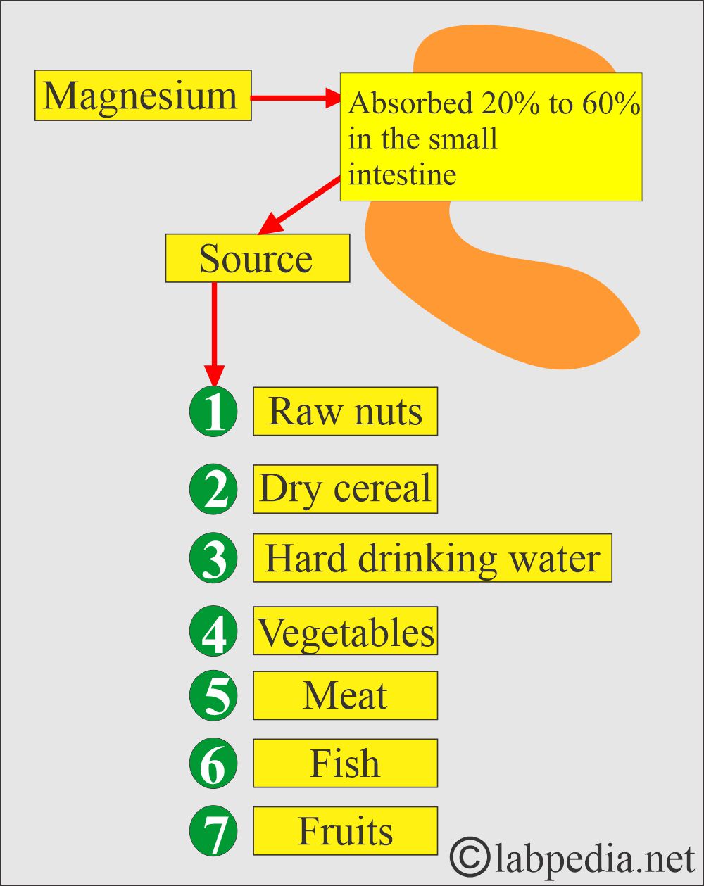 Magnesium source Magnesium source