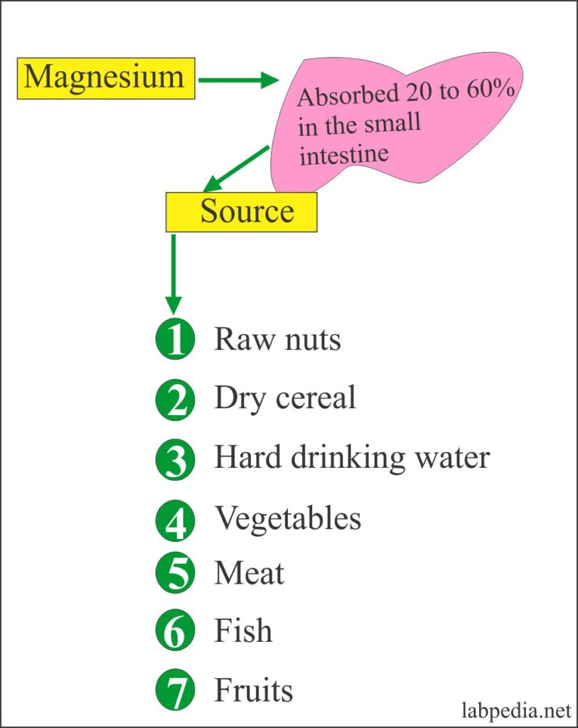 Magnesium level (Mg)