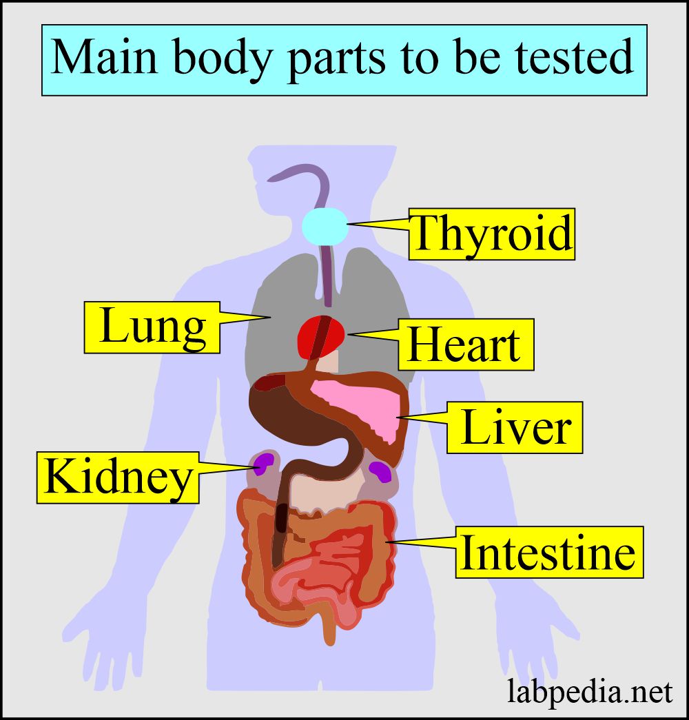  Chemistry profile For Various Diseases: Main body parts to be tested