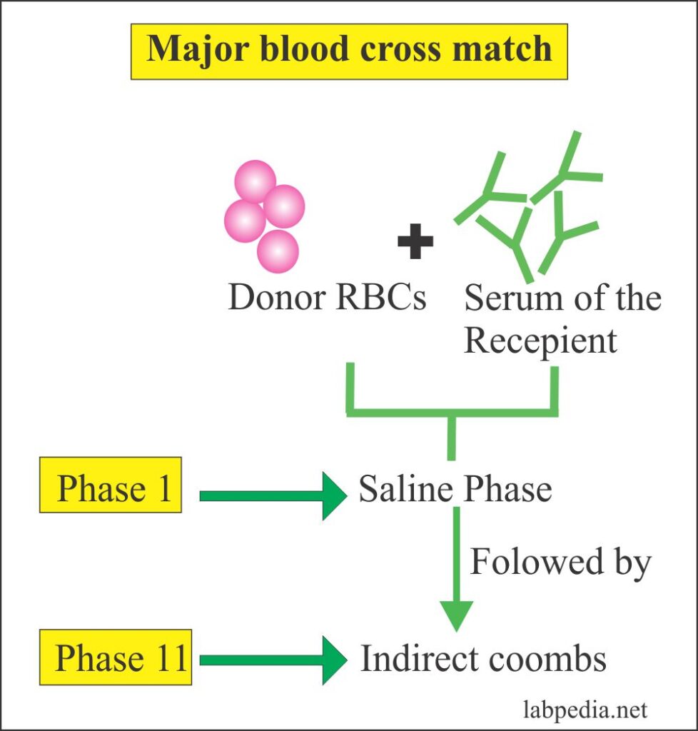 blood-banking-part-2-definition-of-blood-banking-donor-selection