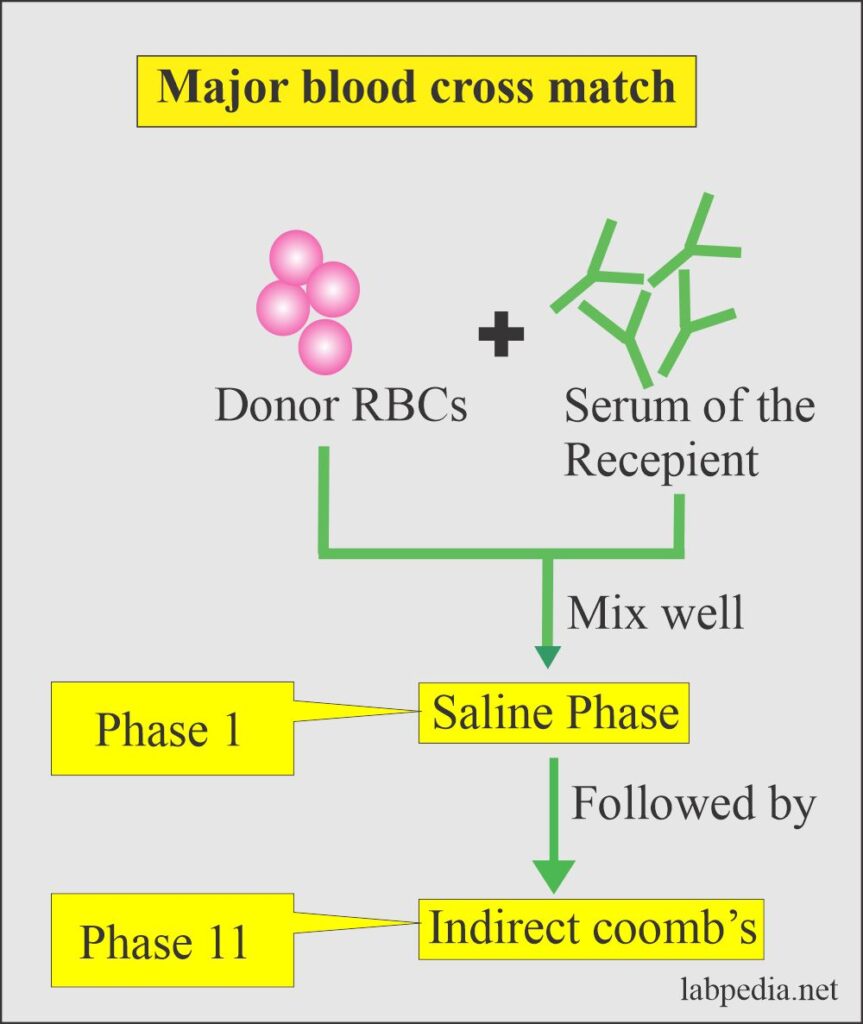 blood-banking-part-2-definition-of-blood-banking-donor-selection