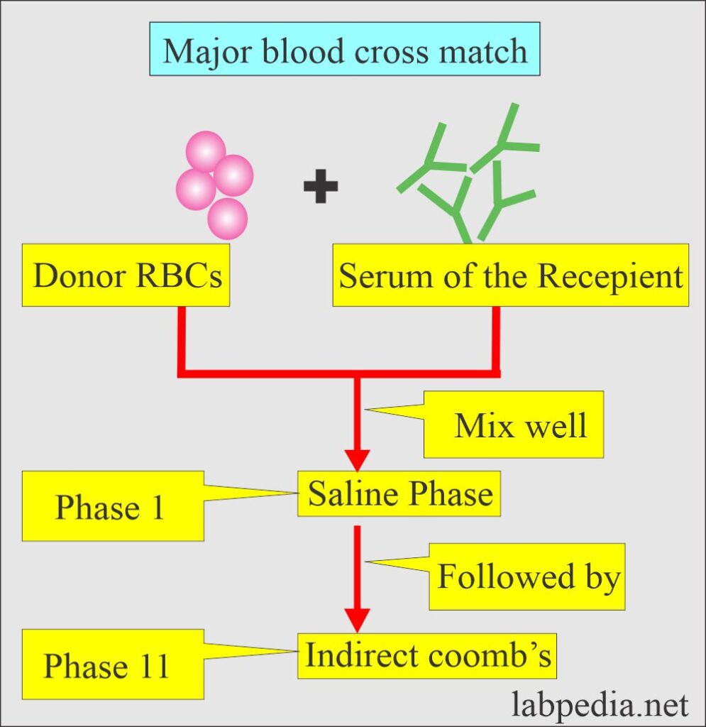 Blood banking part 2 Definition of blood banking, Donor selection