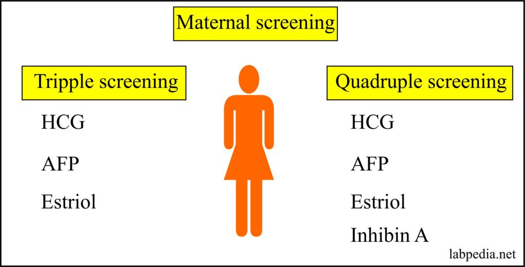 Maternal Screening – Part 1 – Maternal Triple or Quadruple screening for Genetic abnormality