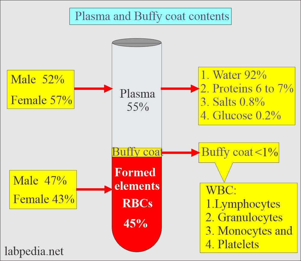 Serum, Plasma Preparation: Plasma and buffy coat contents