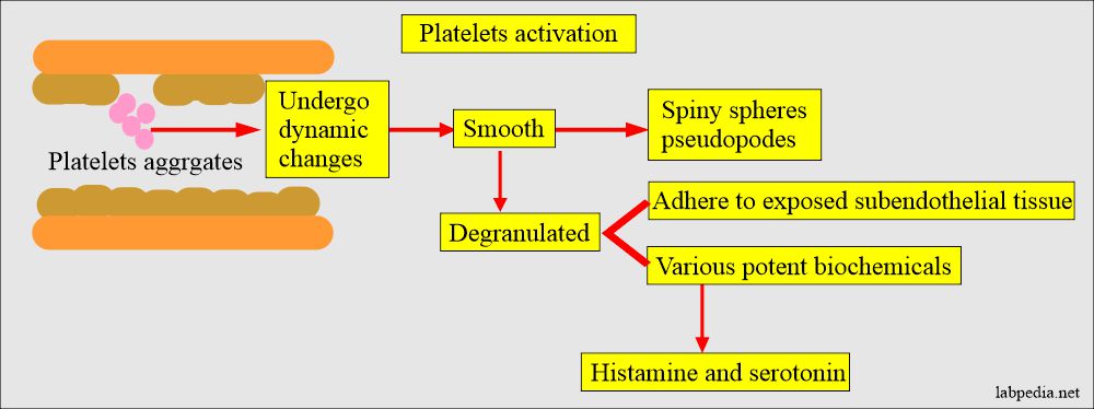 Platelets activation