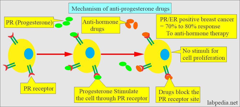 PR/ER positive breast cancer response to anti-hormone therapy 