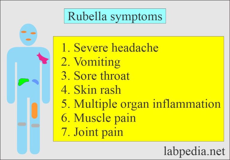 Rubella Infection Rubella Antibody Tests