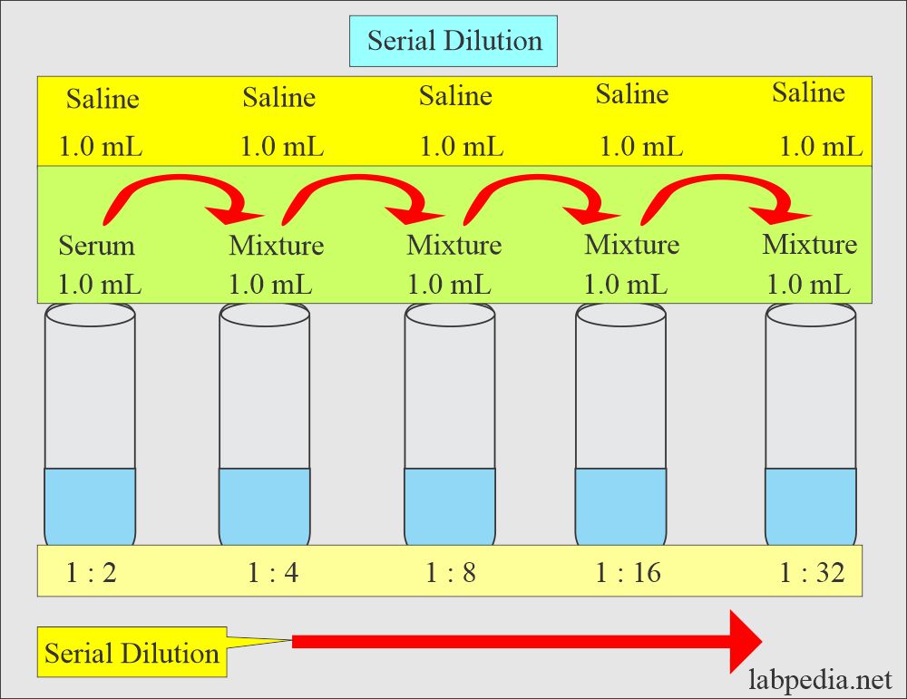 Serial dilution calculation method