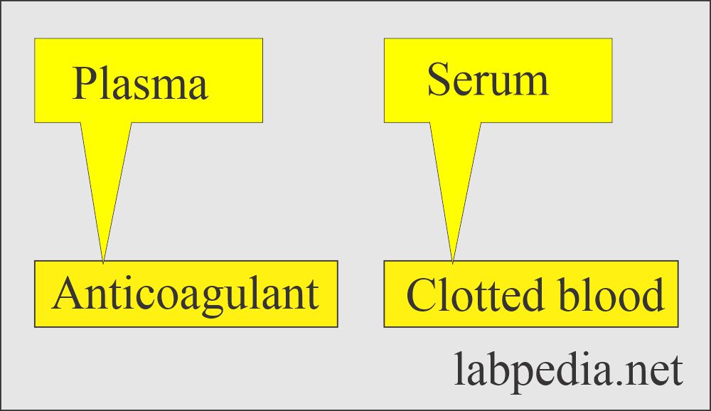 Plasma and Red Blood Cells Contents Difference: Serum and plasma difference