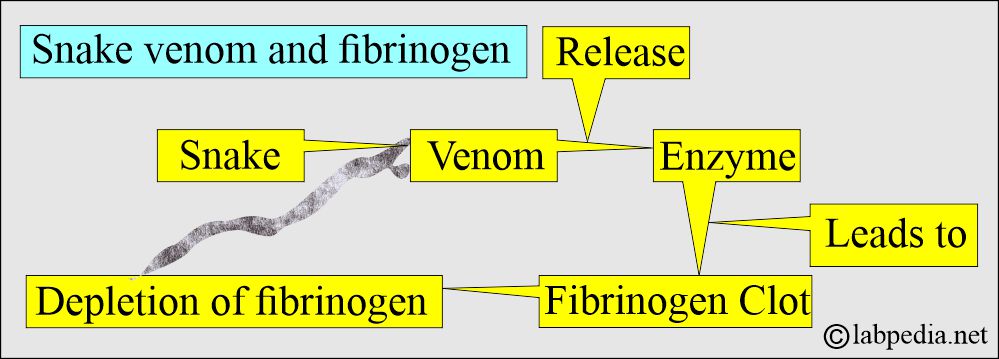 Snake venom effect on Fibrinogen