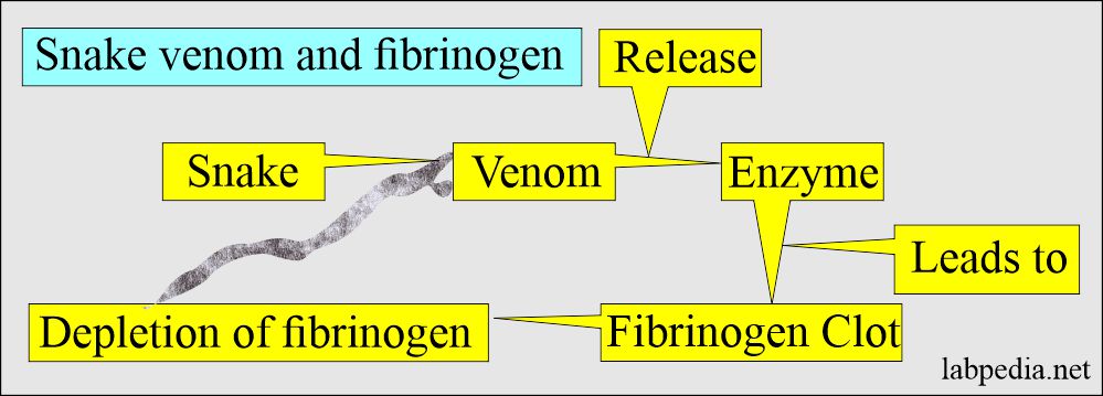 Snake venom and Fibrinogen