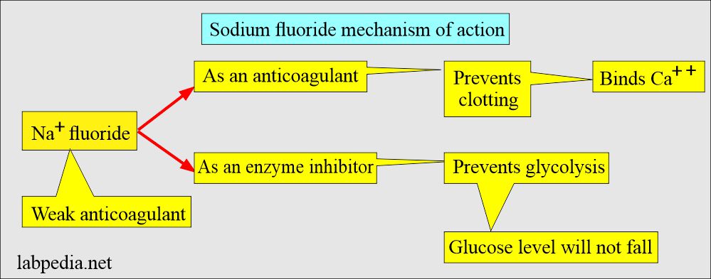 Sodium fluoride as an anticoagulant