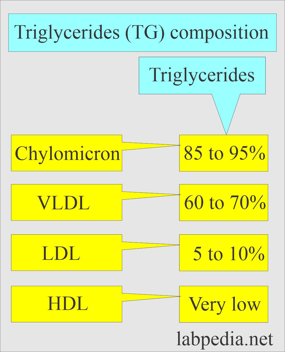 Triglycerides (TG) composition