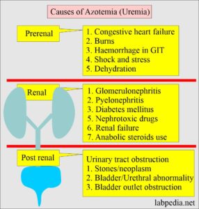 Blood Urea Nitrogen/Creatinine ratio and Interpretations