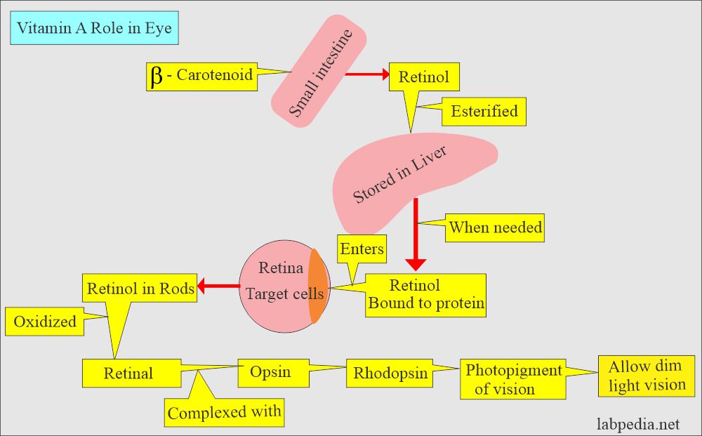 vitamin A role in eyes