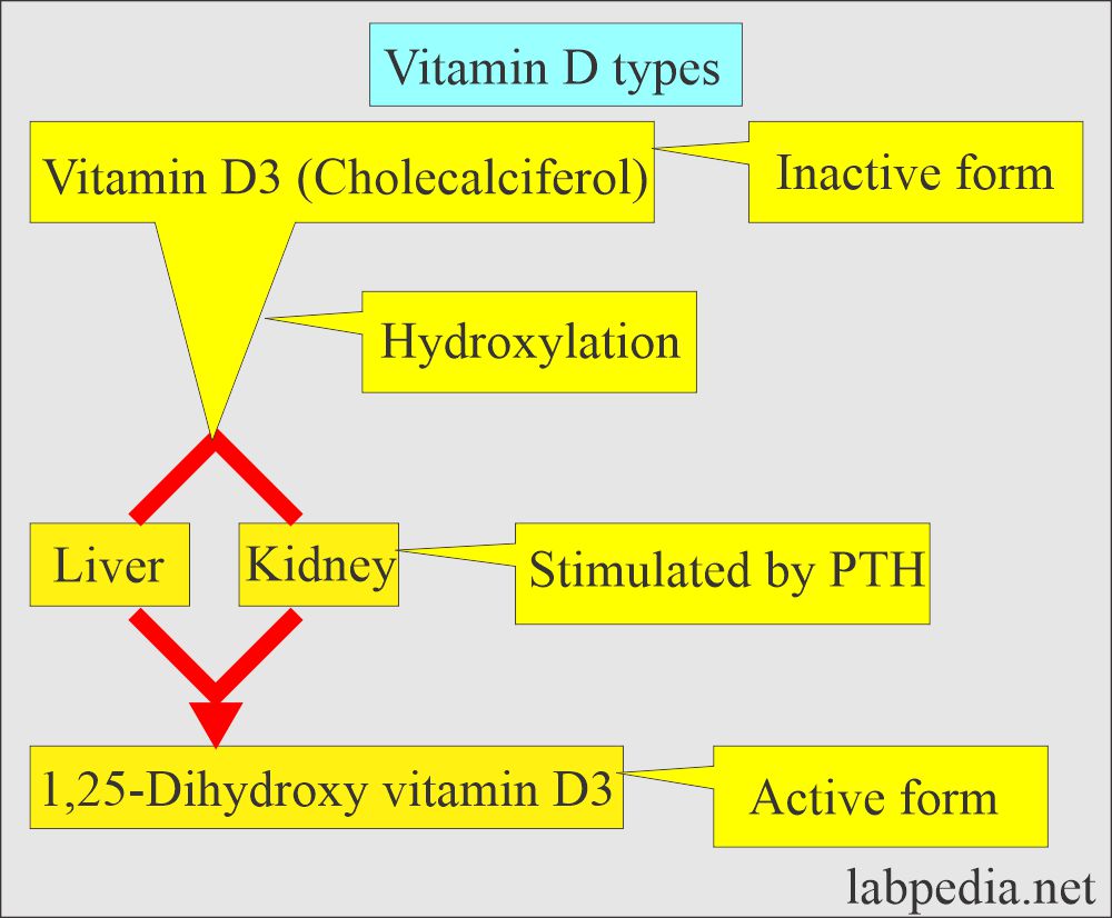 Vitamin D3 forms