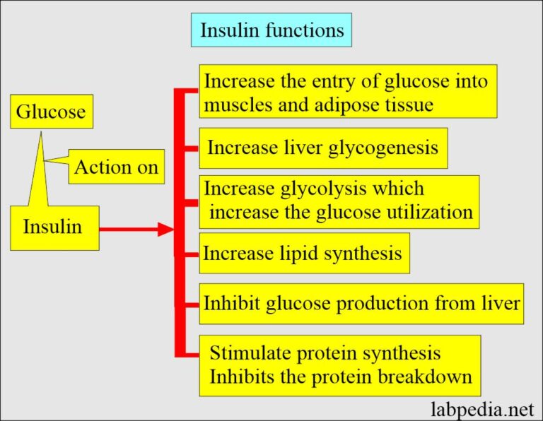 Diabetes mellitus Carbohydrate and glucose metabolism