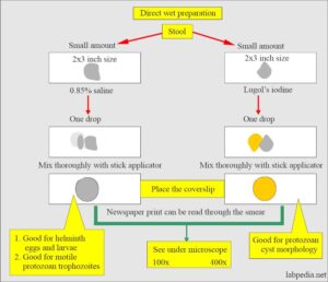 preparation of lugol's iodine solution
