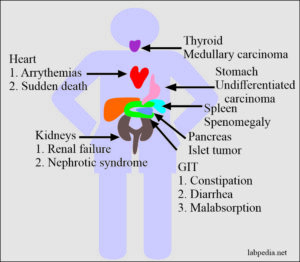 Chapter 33: Amyloidosis - Labpedia.net