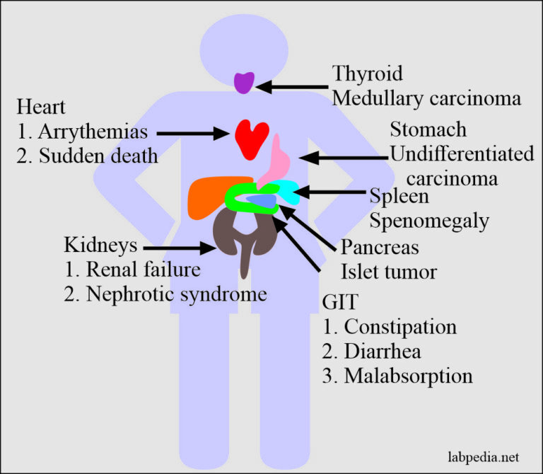 Chapter 33 Amyloidosis 3934