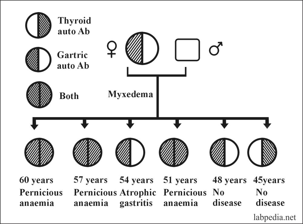 Fig 131: Family with Autoimmune Disease