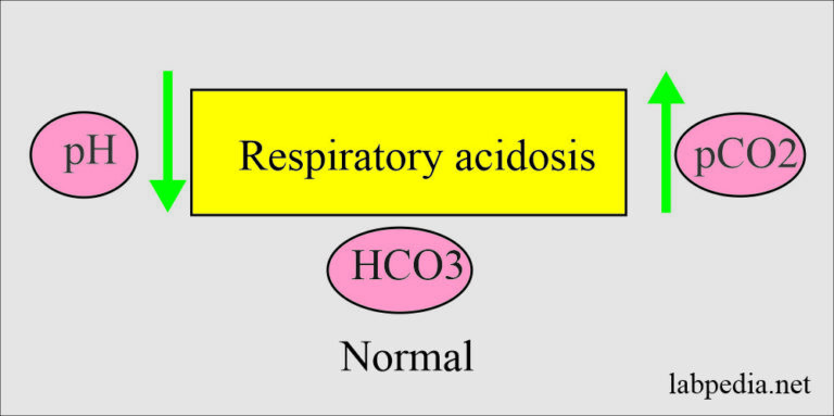 Acid-base Balance:- Part 3 - Respiratory Acidosis and Alkalosis ...