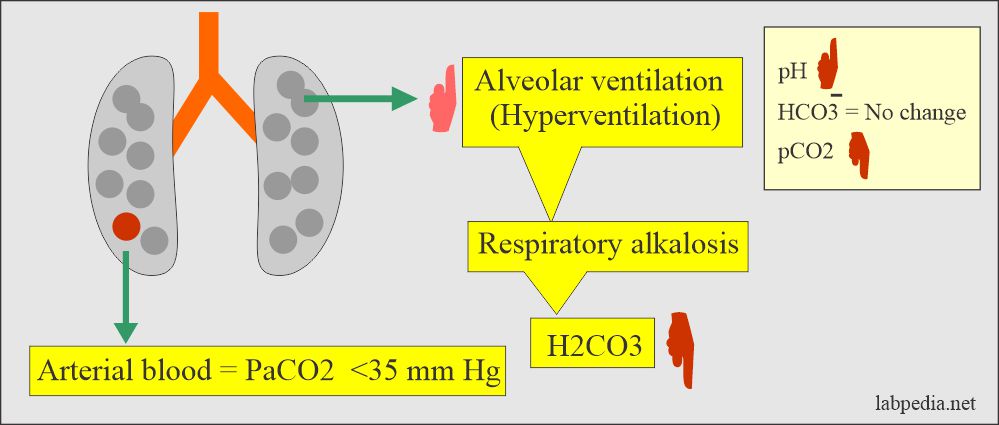 Respiratory alkalosis changes