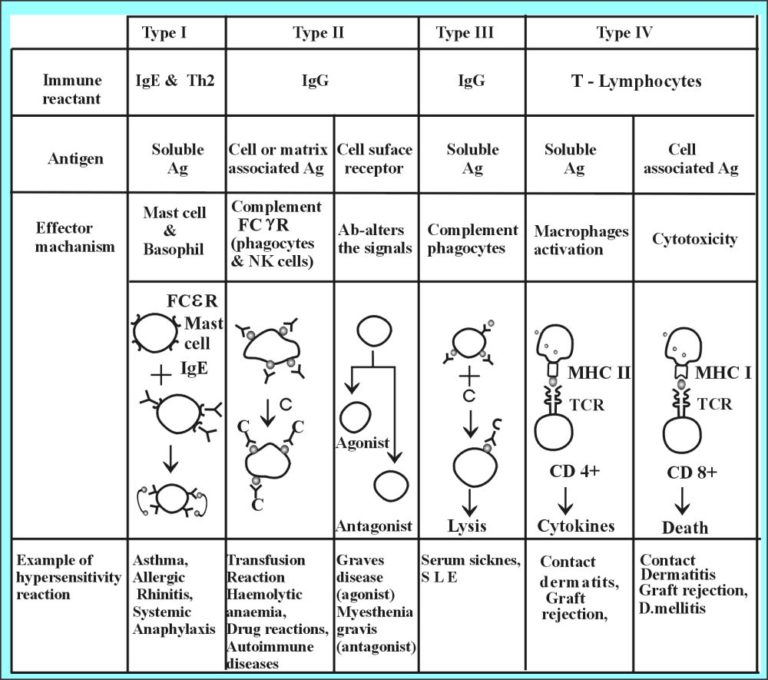 Chapter 14: Hypersensitivity Reaction Type IV, Cell Mediated Delayed ...