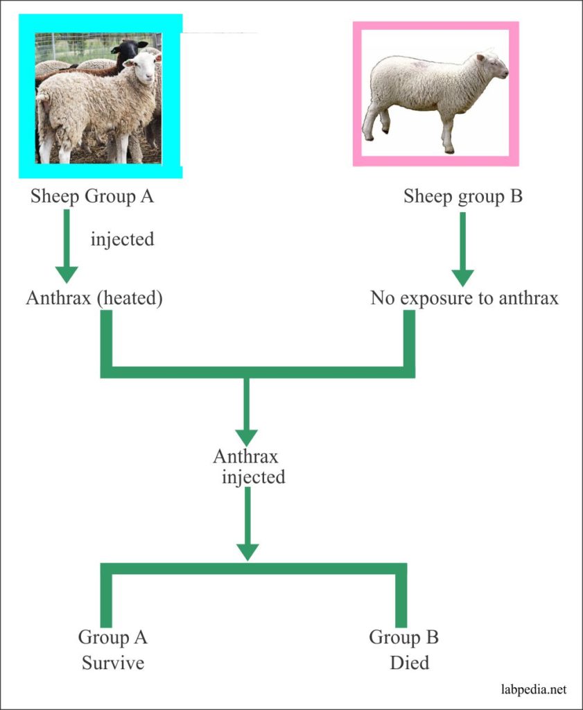 Chapter 1: Introduction Of The Immunology And History – Labpedia.net