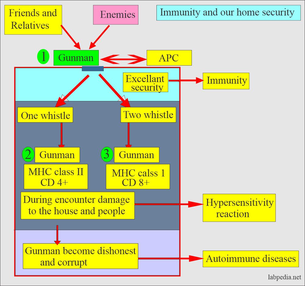 fig: 1 A showing comparison of immune system and our home security