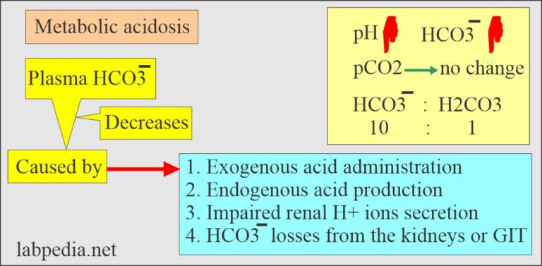 Acid-base Balance:- Part 2 - Introduction Of Acid-Base Balance ...