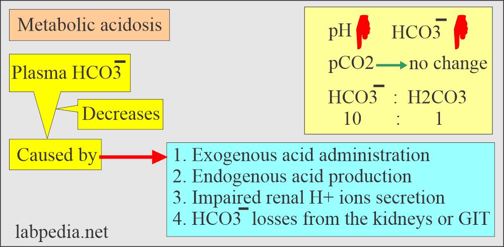 Mechanism of metabolic acidosis 