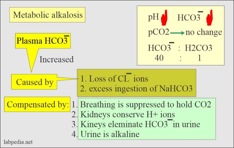 Acid-Base Balance:- Bicarbonate level (HCO3-)