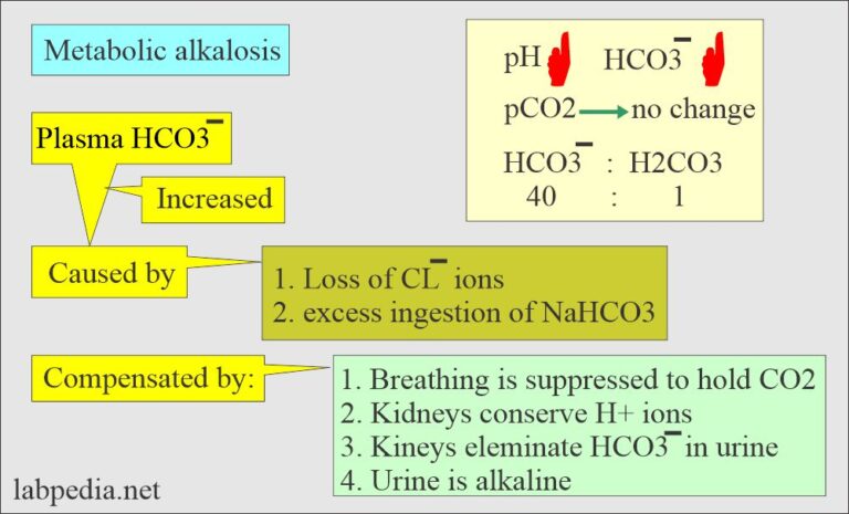 Acid-base Balance:- Part 2 - Metabolic acidosis, and Metabolic ...