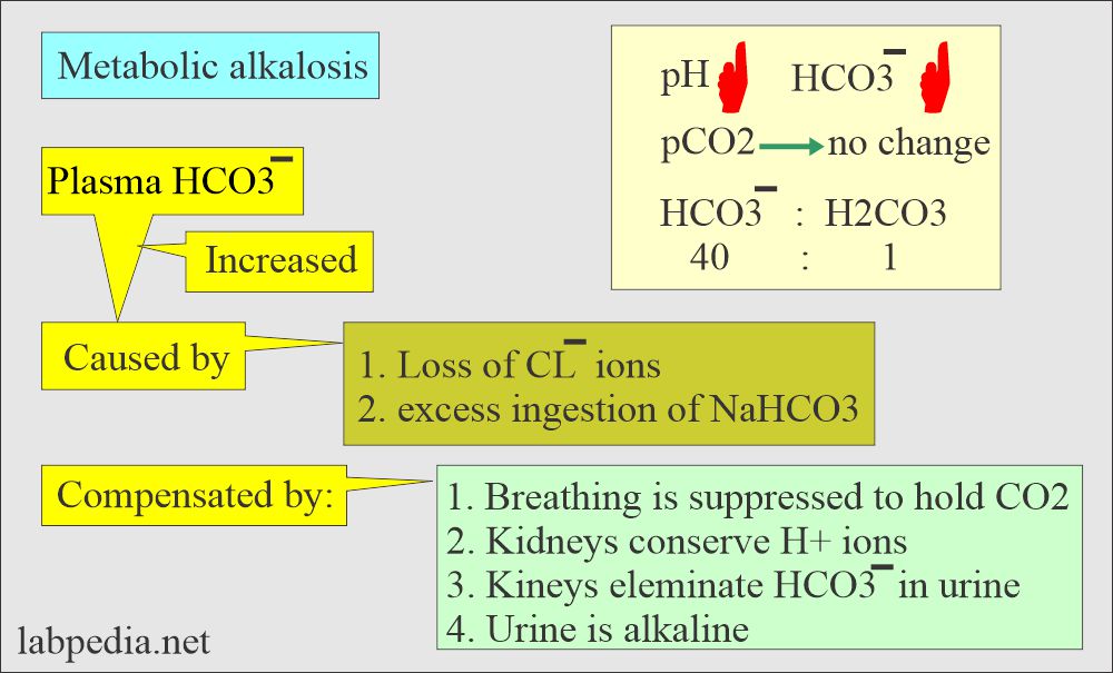 Metabolic alkalosis 
