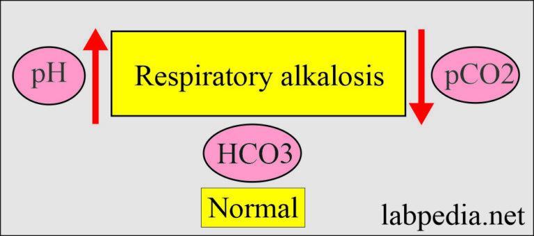 Acid-base Balance:- Part 3 - Respiratory Acidosis and Alkalosis ...