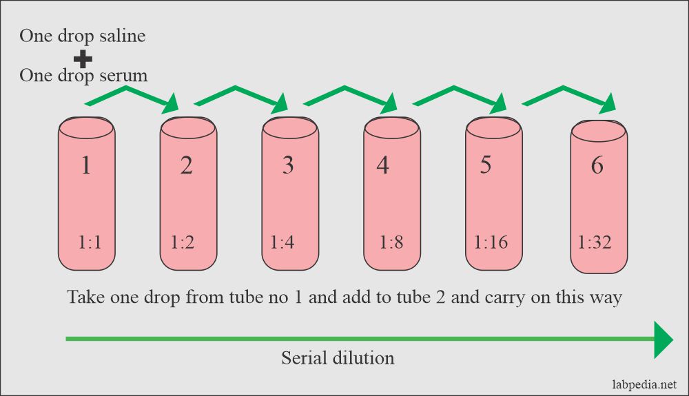 serial dilution