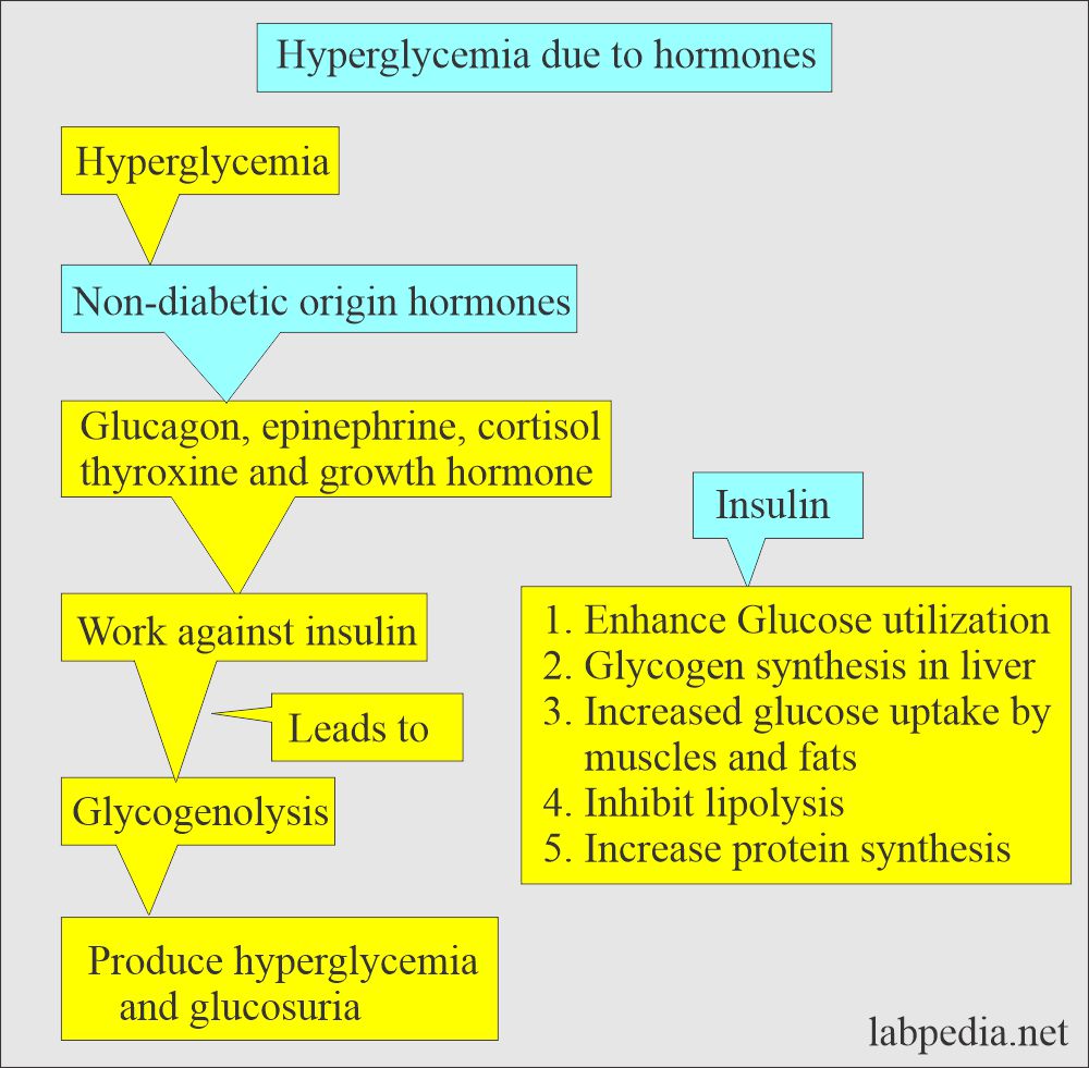 Urine glucose and effect of hormones