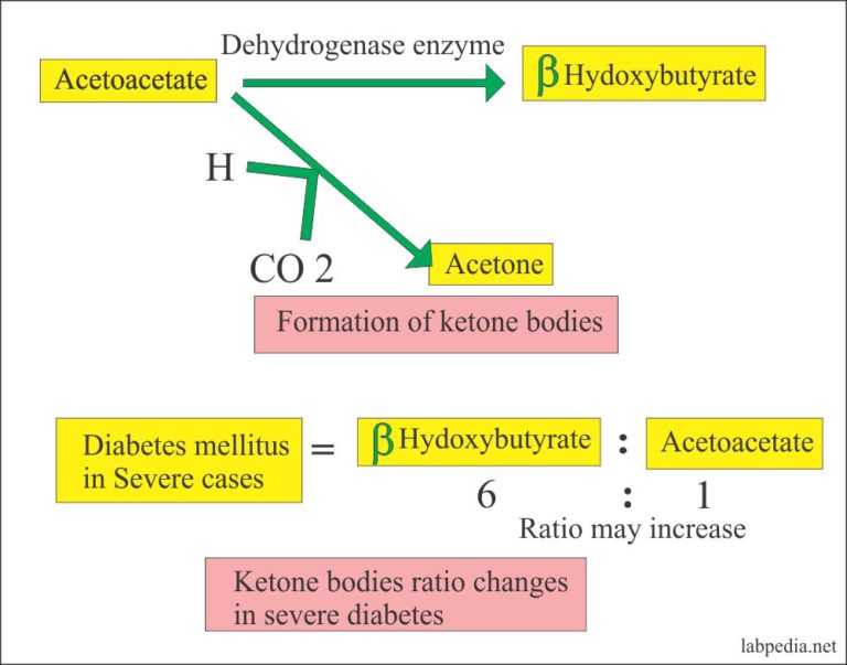 Urine Analysis – Part 5 – Urine Analysis, Chemical Examination and