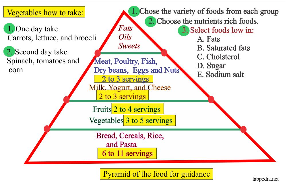 Diet pyramid as a guide