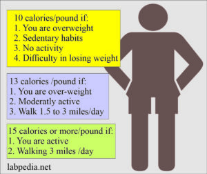 Diet Control:- part 3 - Calculation of the calories needed to lose ...