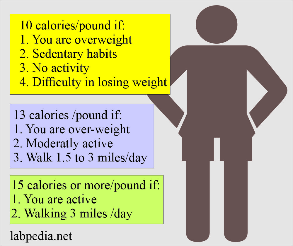 Calories calculation to lose weight