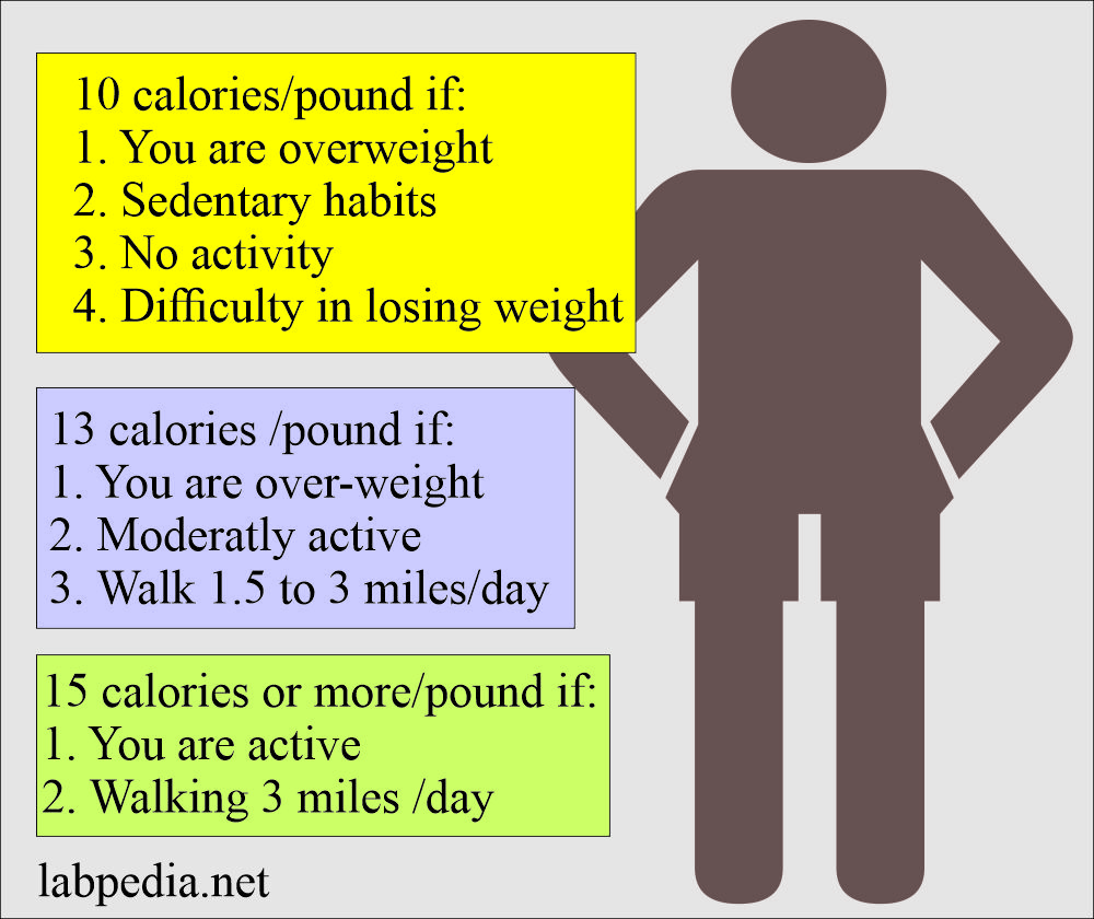 Diet Control Part 3 Calculation Of The Calories Needed To Lose 