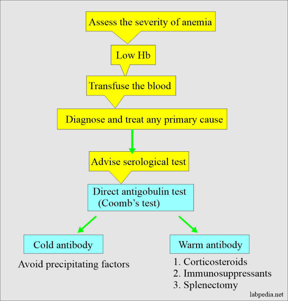 Chapter 27: Autoimmune Diseases: Autoimmune Hemolytic Anemia (AHA ...