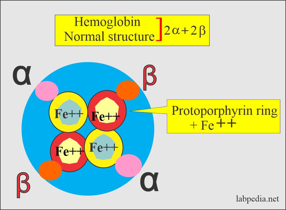 Drabkin’s Solution for Hemoglobin, Preparation of Drabkin’s Solution