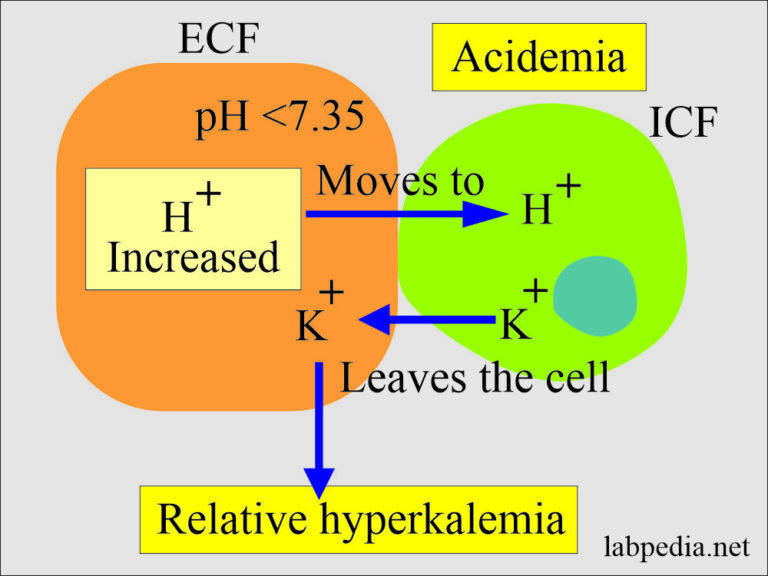 Acid-base Balance:- Part 1 - Introduction to the Acid-Base Balance ...