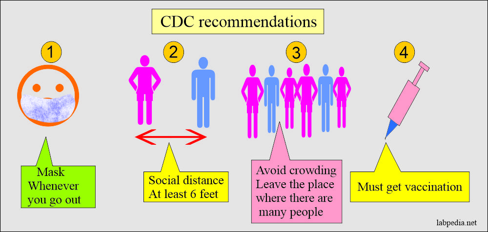 Corona Virus, CDC Recommendations