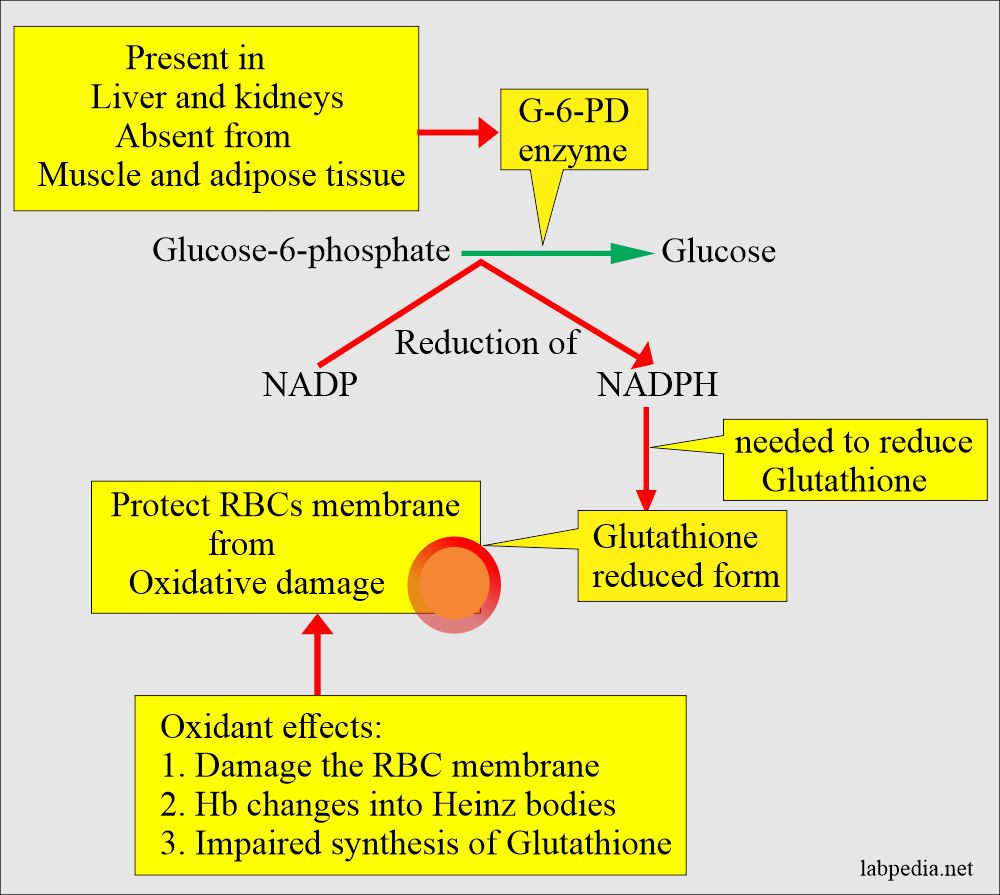 G6PD deficiency damage mechanism 